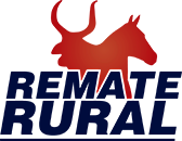 Logo Remate Leilões